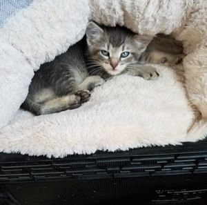 Meet your Posher, John